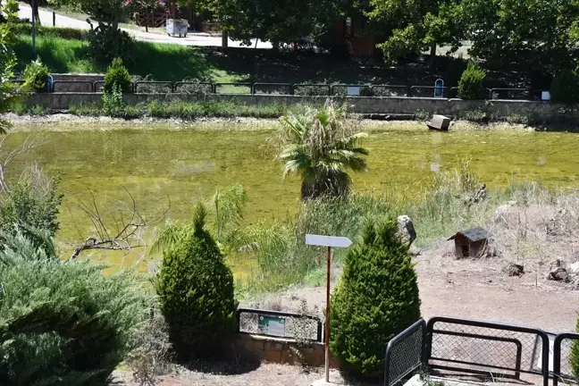 Çobandede Mini Hayvanat Bahçesi ve Kuş Cenneti Yeniden Hizmete Açılmak İstiyor