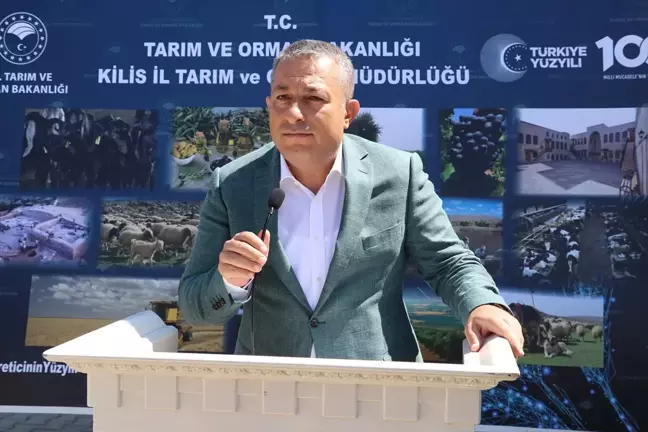 Kilis'te küçükbaş hayvancılığa destek