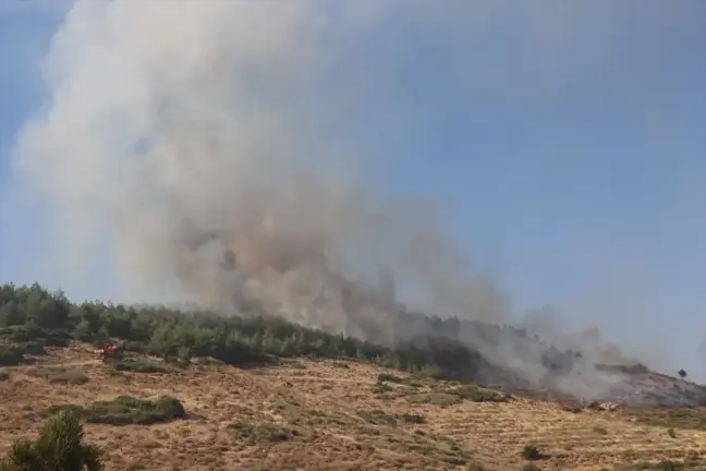 Antakya'da çıkan orman yangınına müdahale ediliyor