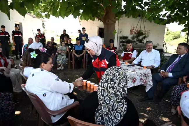 Osmaniye'de Kapalı Alanda Yetiştirilen Güller Hasat Edildi