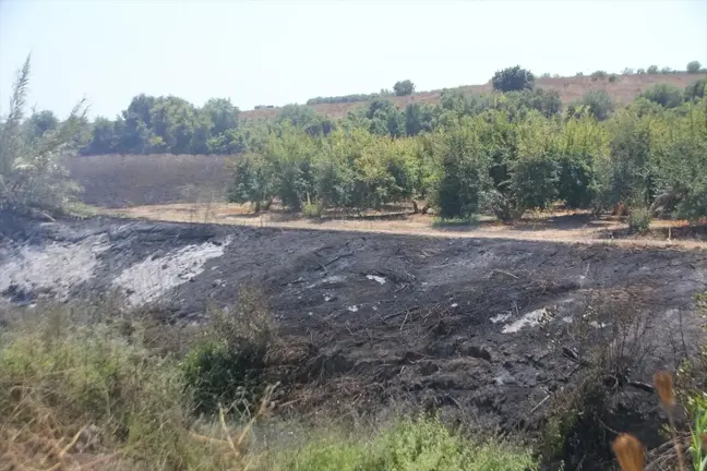 Antalya'da sazlık alanda başlayan yangın kontrol altına alındı