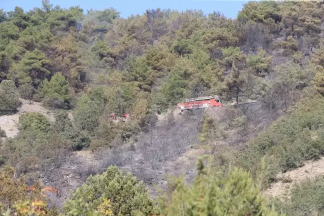 Tokat'ın Turhal ilçesinde çıkan yangın kontrol altına alındı