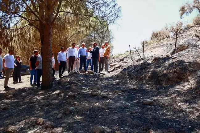 Aydın'da AK Parti Heyeti Yangın Bölgesinde İnceleme Yaptı