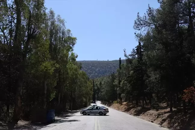 Yunanistan'da orman yangını çıkaran yaşlı kadın tutuklandı