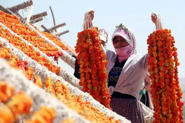 Gaziantep'te Kurutmalık Sebzelerin Hazırlığı Başladı