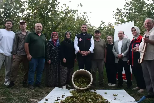 Düzce'de Fındık Hasat Şenliği Düzenlendi