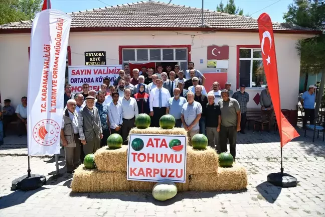 Karaman Valisi Ortaoba karpuzu hasat programına katıldı