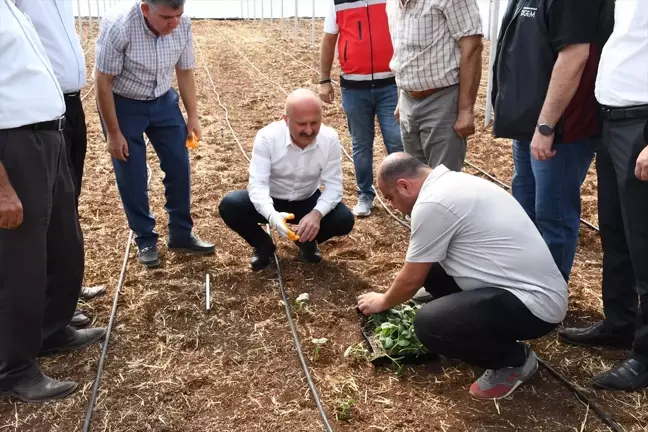 Adıyaman'da Sera-GES ile tarımsal üretim hızlanıyor