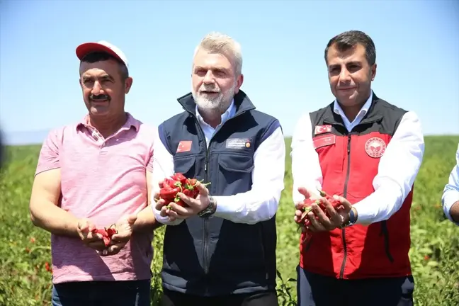 Kahramanmaraş Büyükşehir Belediyesi Tarımsal Üretimi Artırıyor