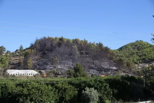 Antalya'da çıkan yangın söndürüldü