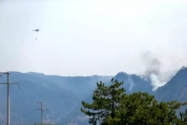 Bolu Göynük'te Orman Yangını Söndürme Çalışmaları Devam Ediyor