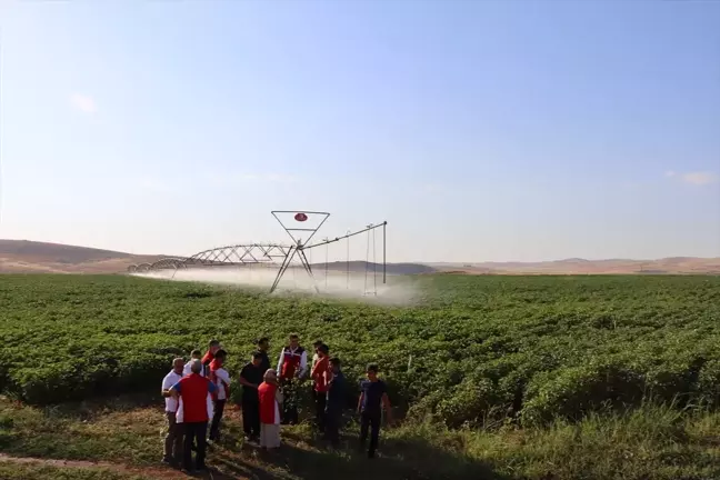 Şanlıurfa'da Üreticilere Ücretsiz Ziraatçı Desteği