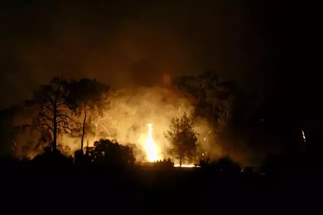 Muğla'da orman yangınına gece görüşlü helikopterlerle müdahale sürüyor