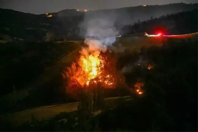 Uşak'taki Orman Yangınında Alevler Belirli Bir Bölgeye Sıkıştırıldı