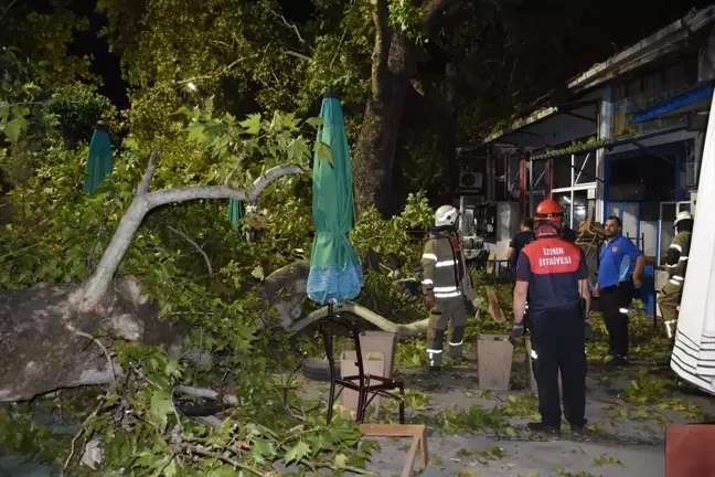 İzmir'de çınar ağacının kırılan dalları 9 kişiyi yaraladı