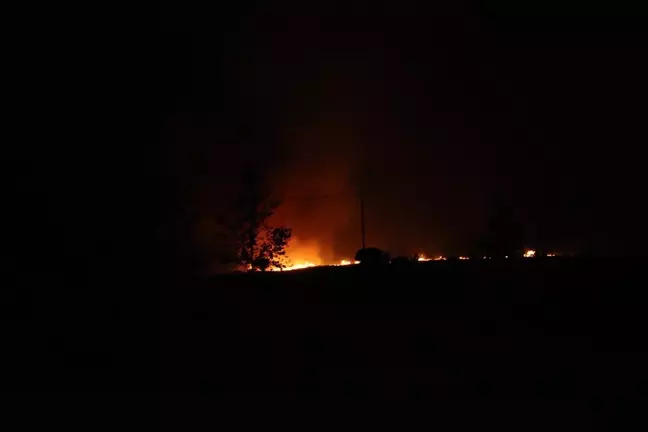 Yozgat'ta çıkan anız yangını ormana sıçramadan söndürüldü