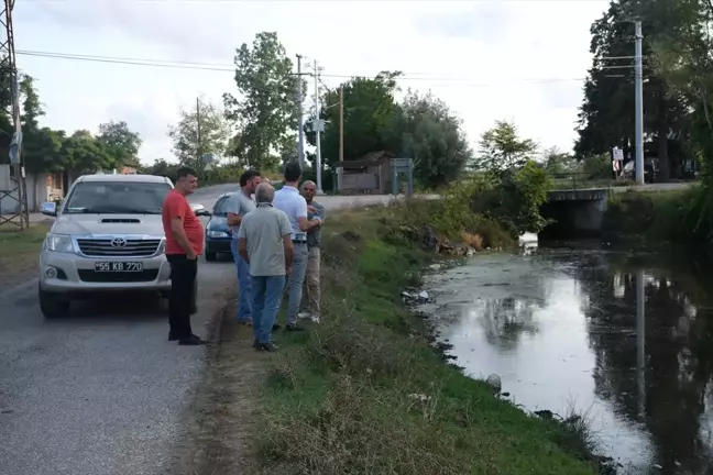 Terme'de Su Kanalında Balık Ölümleri İncelemeye Alındı