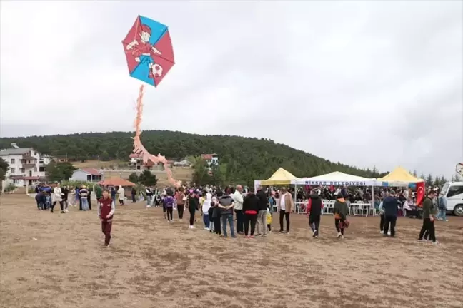 Tokat'ta Uçurtma Şenliği Düzenlendi