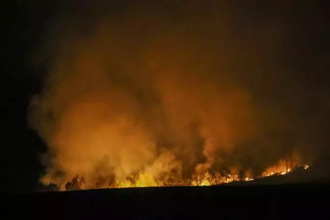 Uşak'ta çıkan yangınlar yerleşim yerlerini tehdit etmiyor