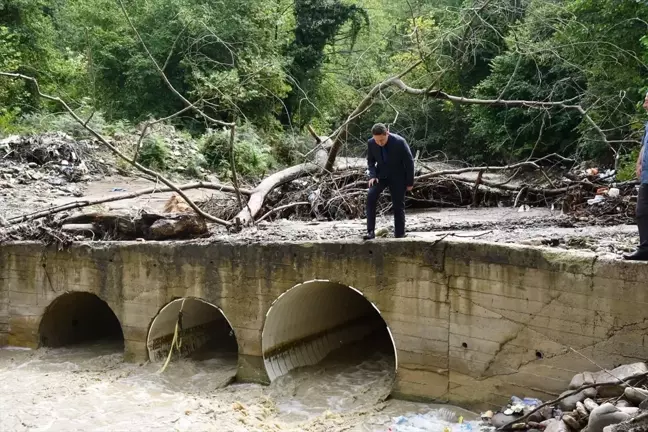 Ayancık Kaymakamı sağanak etkilenen bölgelerde incelemelerde bulundu