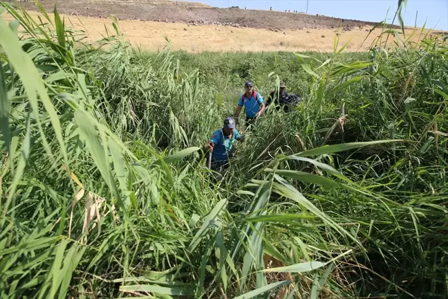 Diyarbakır'da kaybolan 8 yaşındaki Narin Güran'ı arama çalışmaları devam ediyor