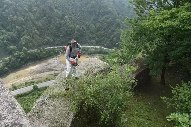 Espiye'deki Andoz Kalesi'nde Temizlik ve Düzenleme Çalışması Yapıldı