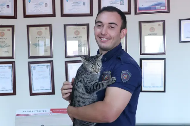 Deprem enkazından kurtarılan kedi sahibini bulamayınca itfaiyecinin yanına yerleşti