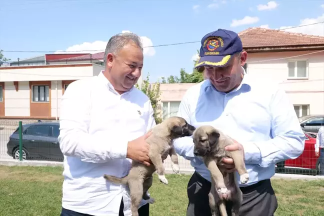 AK Parti İl Başkanı Gürhan Albayrak, Eskişehir Büyükşehir Belediyesi'ne sahipsiz sokak hayvanları için proje önerisinde bulundu