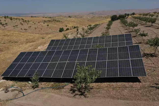 Batman'da çiftçiler güneş enerjisi santrali ile enerji maliyetini düşürdü