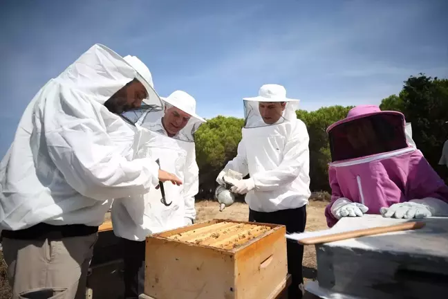 Türkiye'nin Tescilli Efe Arısı Bozcaada'da Bal Hasadı Yapıldı