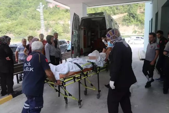 Kastamonu'da Çatıda Çalışan Dede ve Torunu Ağır Yaralandı