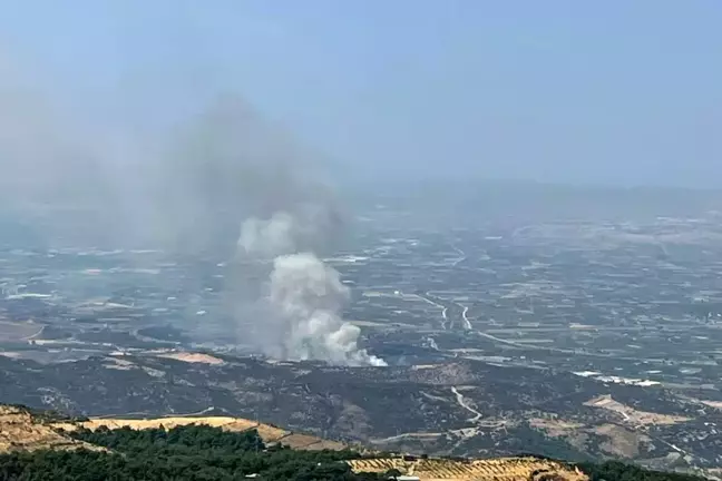 İzmir Menemen'de Orman Yangını