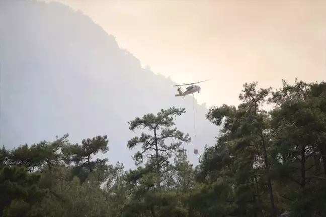 Muğla'da orman yangını: Yerkesik-Akbük kara yolu ulaşıma kapatıldı