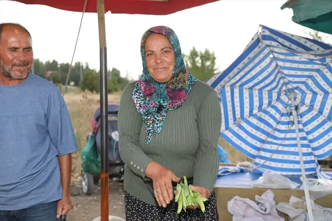 Çubuk'taki Yerel Pazar, Çiftçilerin Ürünlerini Sunuyor