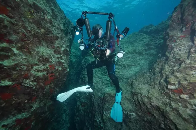 Akdeniz'in Derinlikleri Su Altı Fotoğrafçılarını Büyülüyor