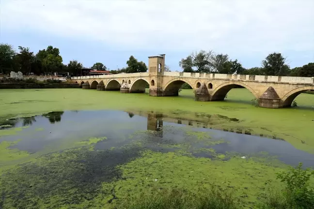 Tunca Nehri'nde Yosun ve Su Mercimeği Yayılım Alanı Arttı