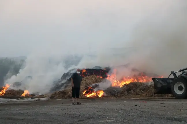 Adana'da anız yangını Seyhan Belediyesi şantiyesine sıçradı