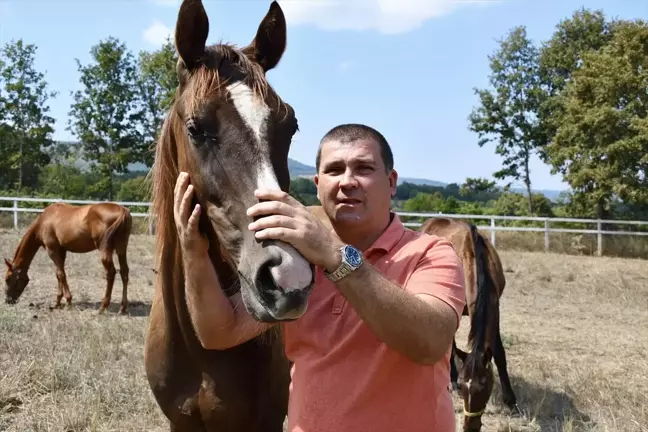 Bilecik'te Girişimci Serhat Akbaş, Yarış Atı Yetiştiriyor