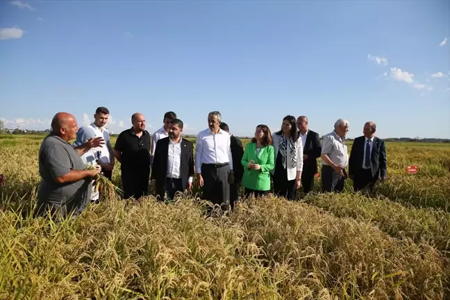 Trakya Tarımsal Araştırma Enstitüsü'nde 'Çeltik Tarla Günü' etkinliği yapıldı