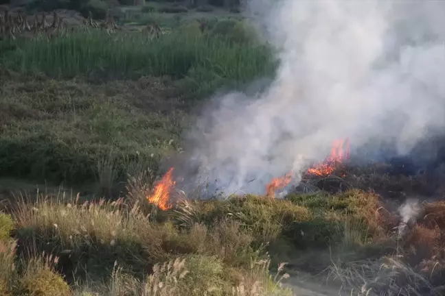 Antalya'daki Orman Yangını Kontrol Altına Alındı