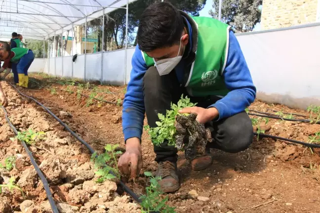 İHH, Öşürlerle İhtiyaç Sahiplerine Destek Ulaşıyor