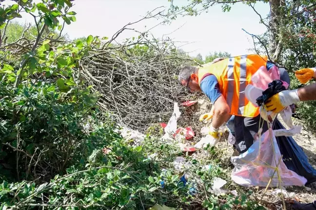 Ladik Belediyesi Piknik Alanlarını Temizledi