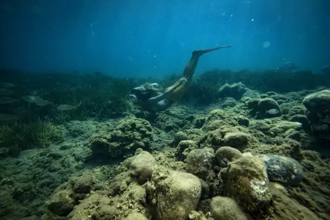 İzmir'de Deniz Kızı Dalış Eğitimi Kadınlardan İlgi Görüyor