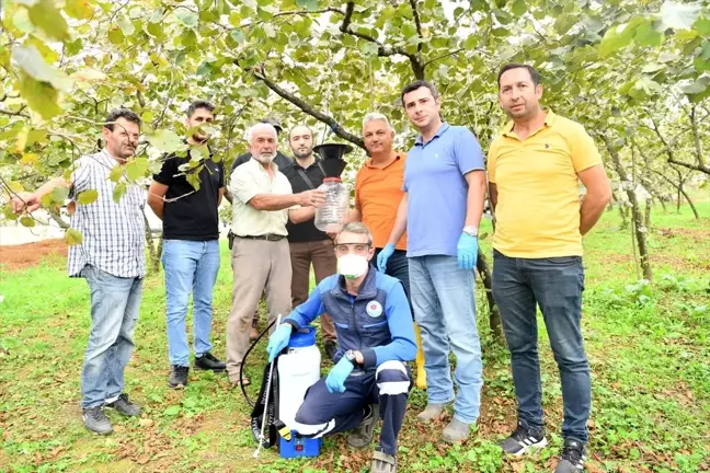 Trabzon Büyükşehir Belediyesi Kahverengi Kokarca ile Mücadeleye Başladı