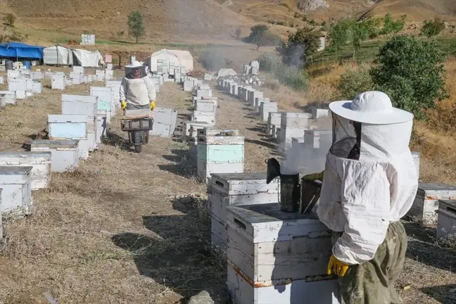 Hakkari'de En Kaliteli Bal Üretimi İçin 1200 Kilometre Yol Geliyorlar