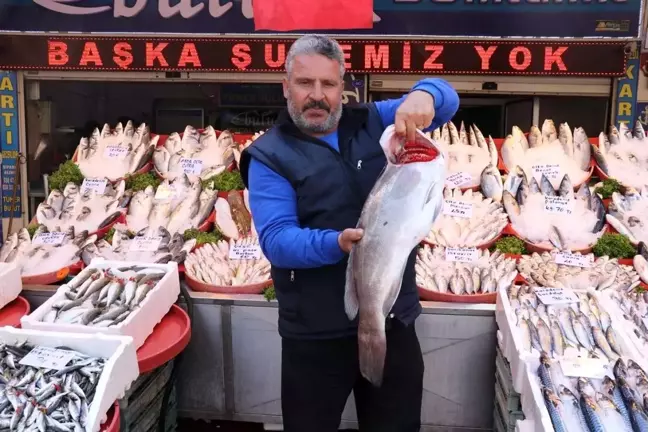 Gaziantep'te Balık Tüketimi Artıyor: Sezon Ümit Veriyor