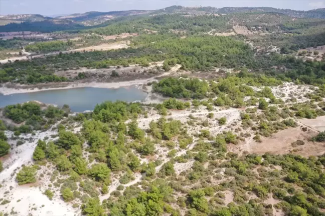 Osmancalı Fosil Ormanı Tabiat Anıtı Olarak Tescillendi