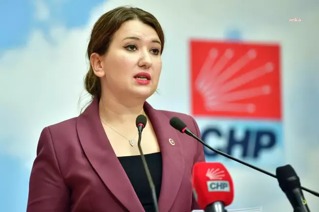 CHP'li Gökçen: Adalet ve İnfaz Sistemi İşlemiyor