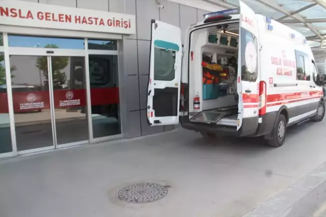 Beyşehir'de Ceviz Ağacından Düşen Kişi Yaralandı