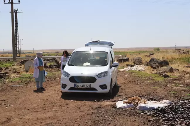 Diyarbakır'da Mobil Sağlık Ekipleri Tarım İşçilerine Ulaşıyor